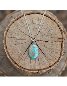 Natural Persian Turquoise (Turquoise) Steel Necklace – Unpainted and Original